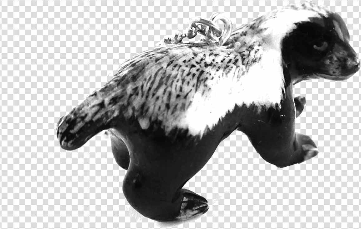 Honey badger png photos transparent free download