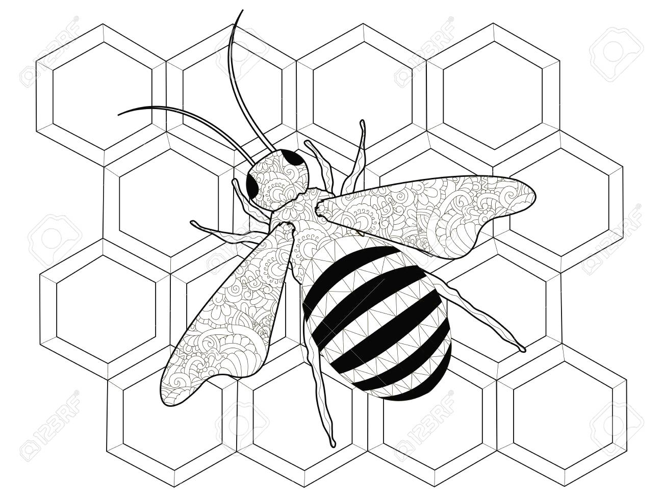 Insects a bee on honeybs anti stress coloring raster illustration for adults stock photo picture and royalty free image image