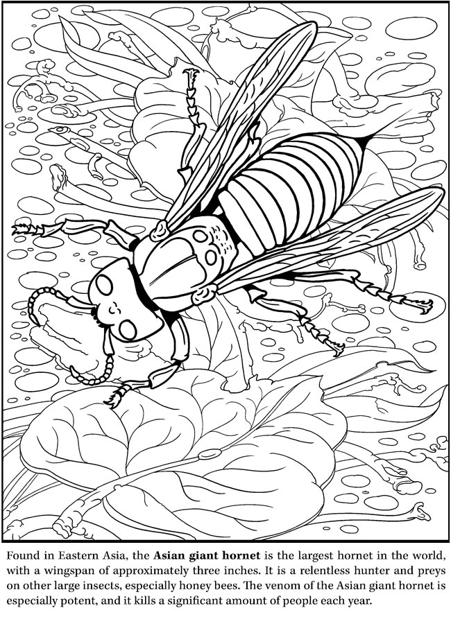Wele to dover publications
