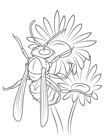 Hornet on the michaelmas daisies coloring page from wasp category select fromâ butterfly coloring page free printable coloring pages coloring pages