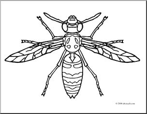 Clip art insects hornet coloring page i