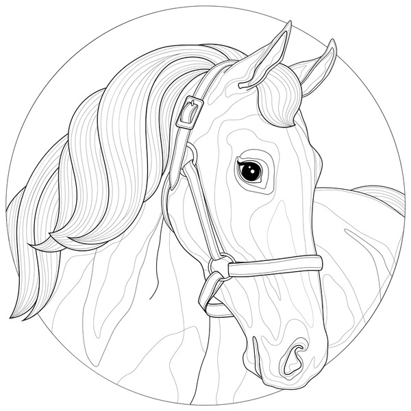Thousand childs horse drawing royalty