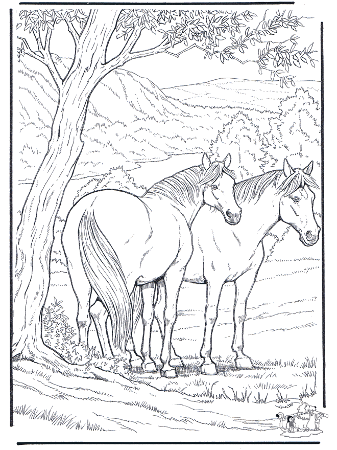 Animals coloring page ausmalbilder pferde zum ausdrucken ausmalbilder pferde ausmalbilder