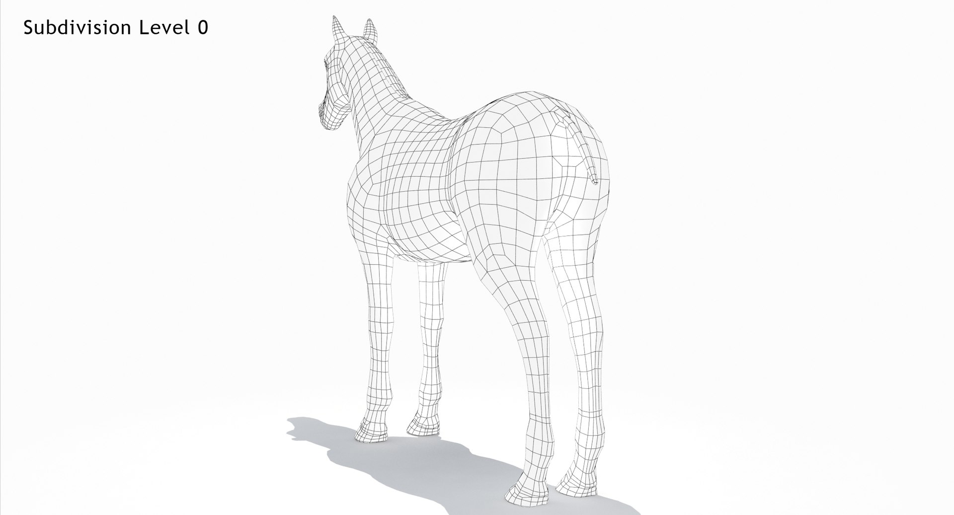 White horse d model