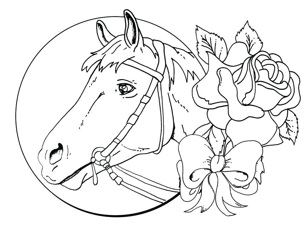 Horse coloring pages for adults