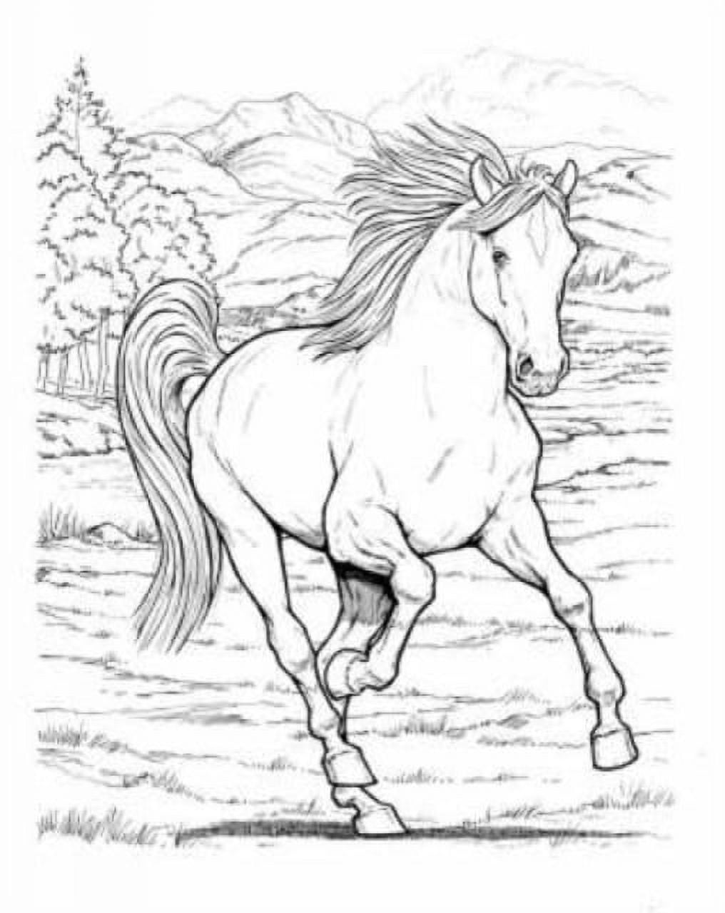 Wonderful world of horses coloring book