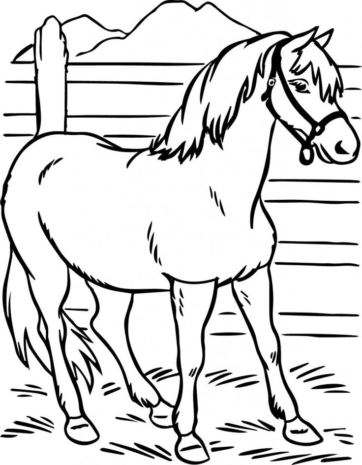 Horse coloring pages horse coloring pages horse coloring books animal coloring pages