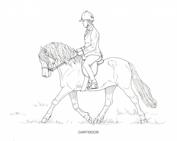 Printable set of horse breed coloring pages digital download