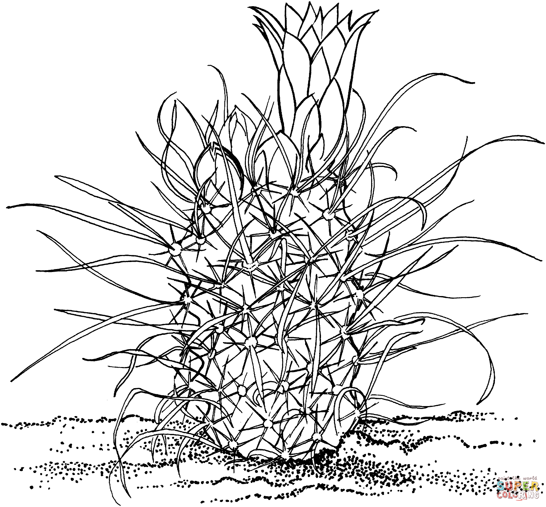 Toumeya papyracantha or gramma grass cactus coloring page free printable coloring pages