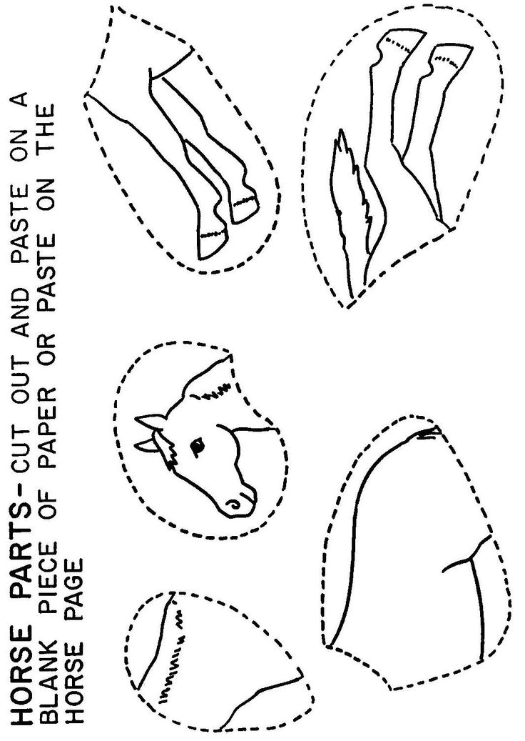 Illustrations handouts horses horse lessons horse crafts