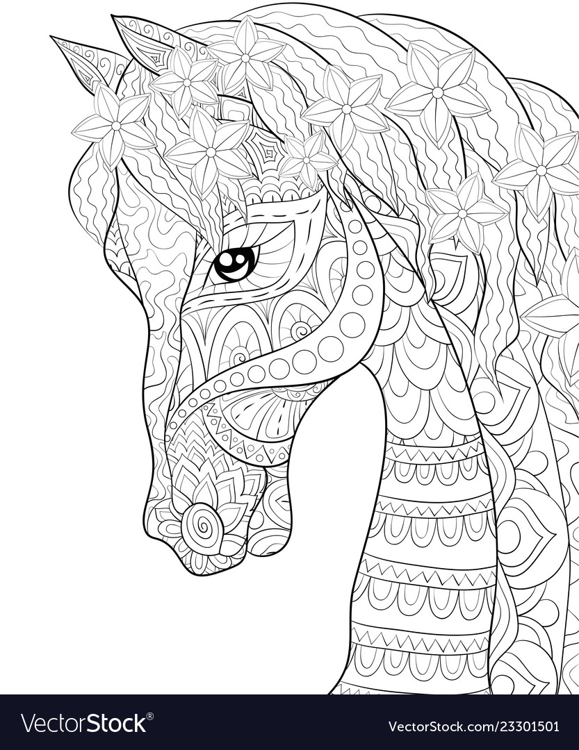 Adult coloring bookpage a cute horse image vector image