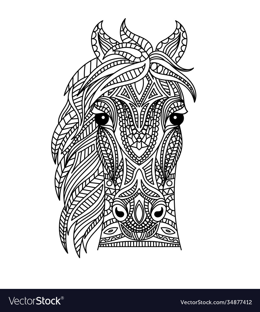 Horse head coloring book royalty free vector image