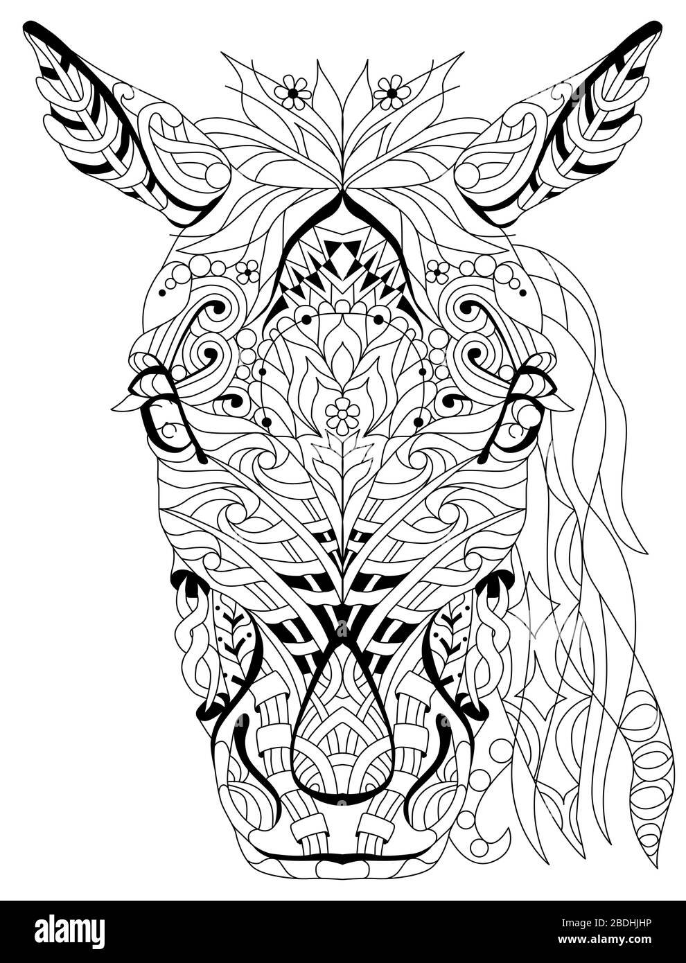 Wild horse portrait head cut out stock images pictures
