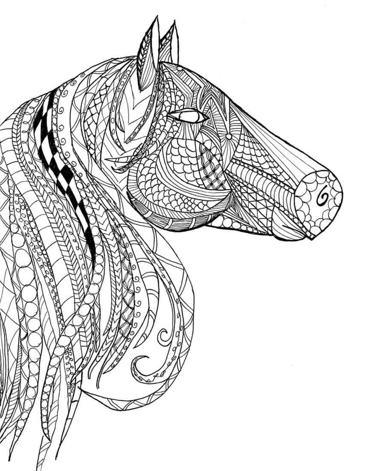 Free horse coloring pages for adults kids horse coloring pages horse coloring animal coloring pages