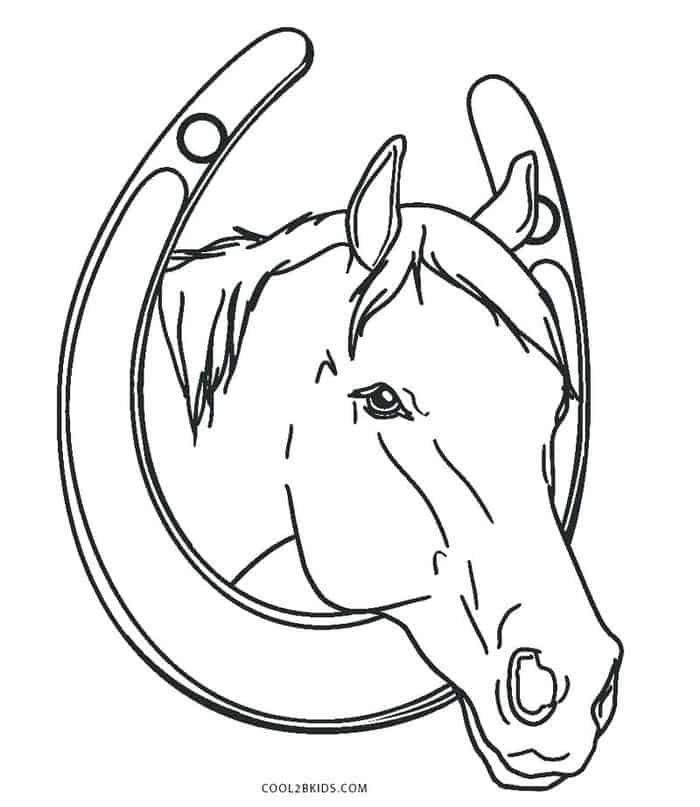 Detailed horse head colorg pages horse colorg pages horse colorg horse stencil