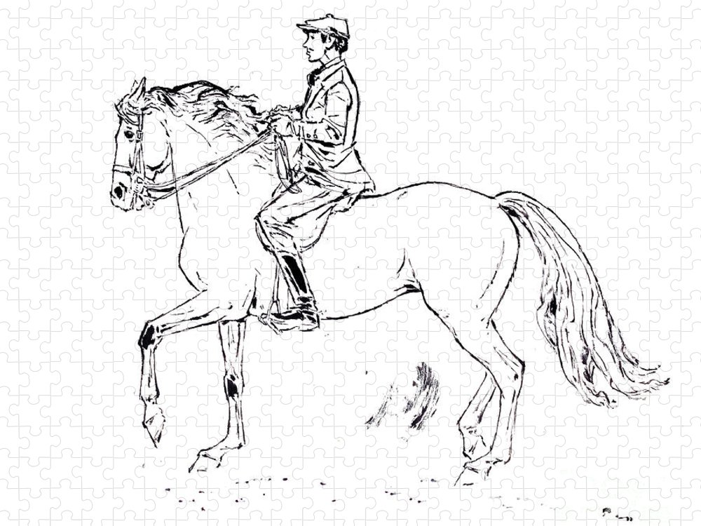 Rider on mustang horse jigsaw puzzle by kurt tessmann