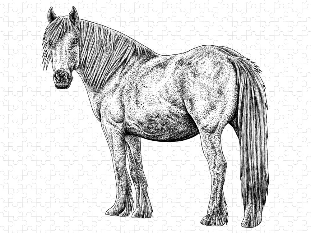 Wild white horse ink illustration jigsaw puzzle by loren dowding