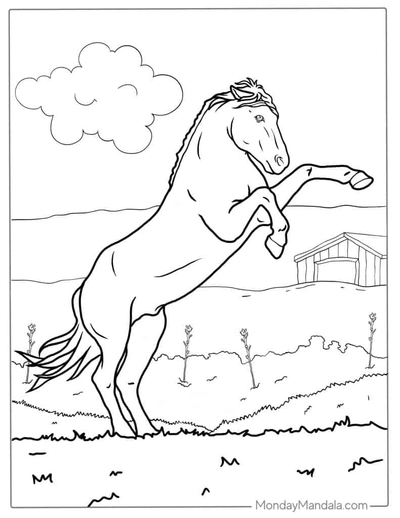 Horse coloring pages free pdf printables