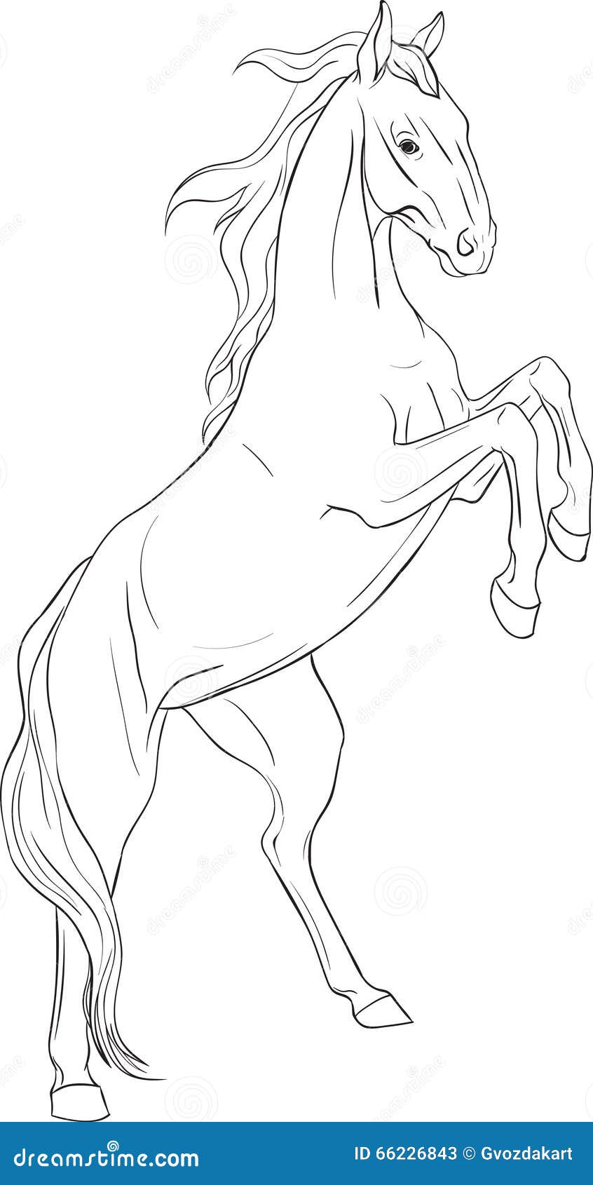 Coloring page with horse stock vector illustration of horseback