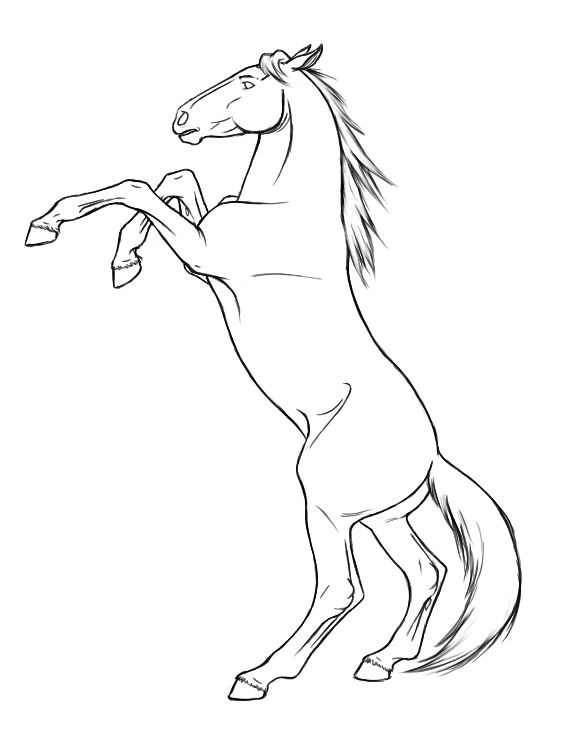 Rearing horse horse coloring pages horse coloring horse art drawing