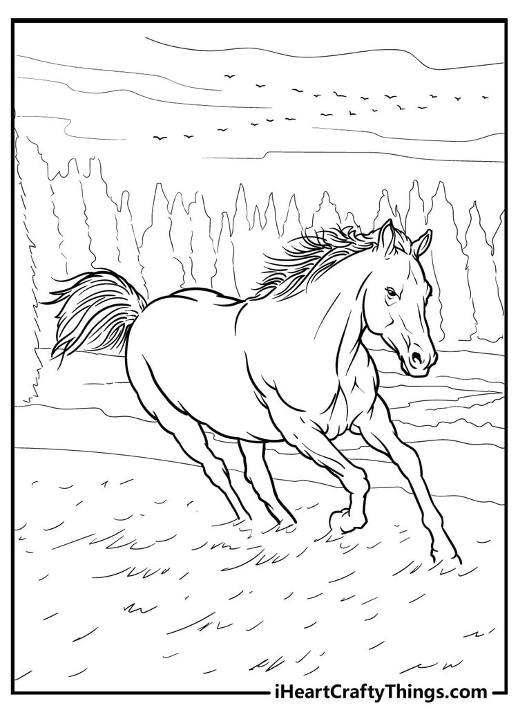 Horse coloring pages free printables