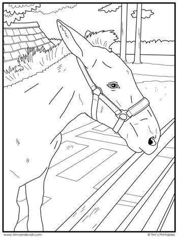 Horse coloring page â tims printables