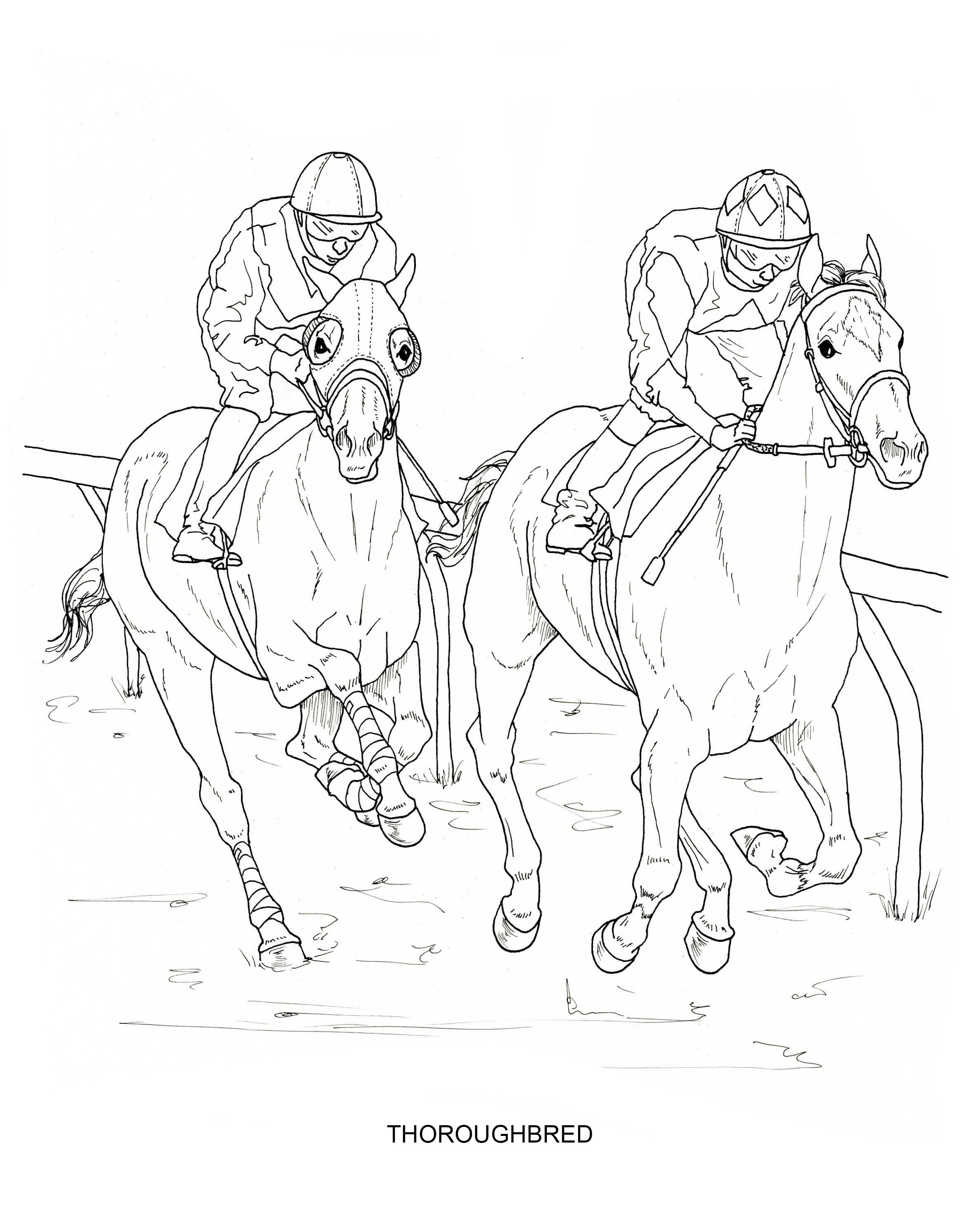 Printable set of horse breed coloring pages digital download
