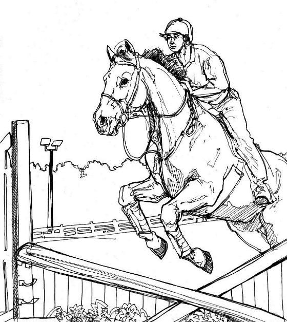 Coloringpagesbank horse coloring horse drawings horse coloring pages