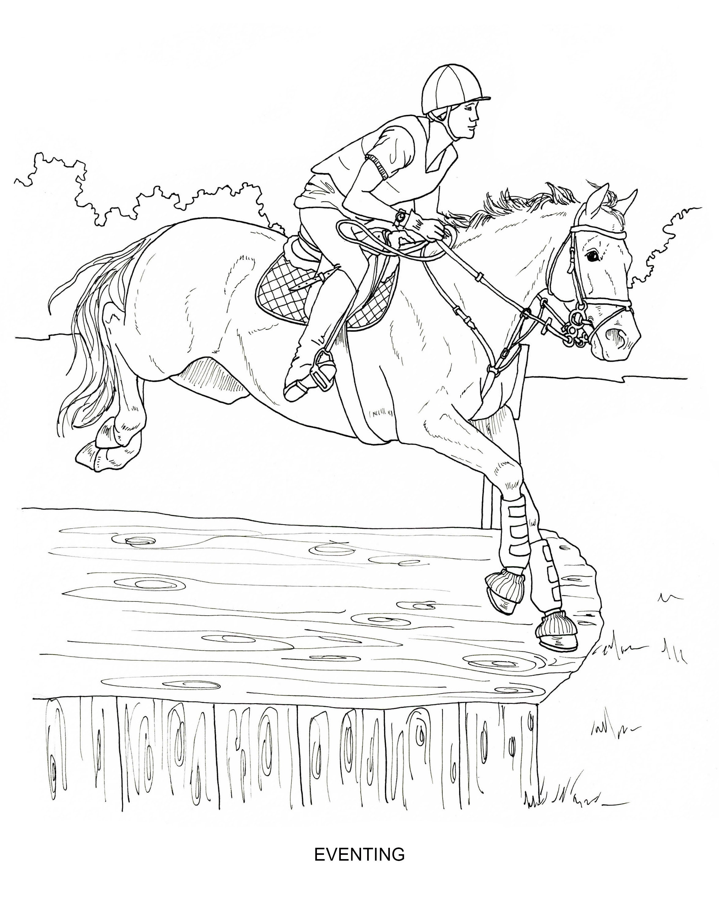 Printable coloring pages disciplines and jobs for horses pages of hand drawn horse illustrations