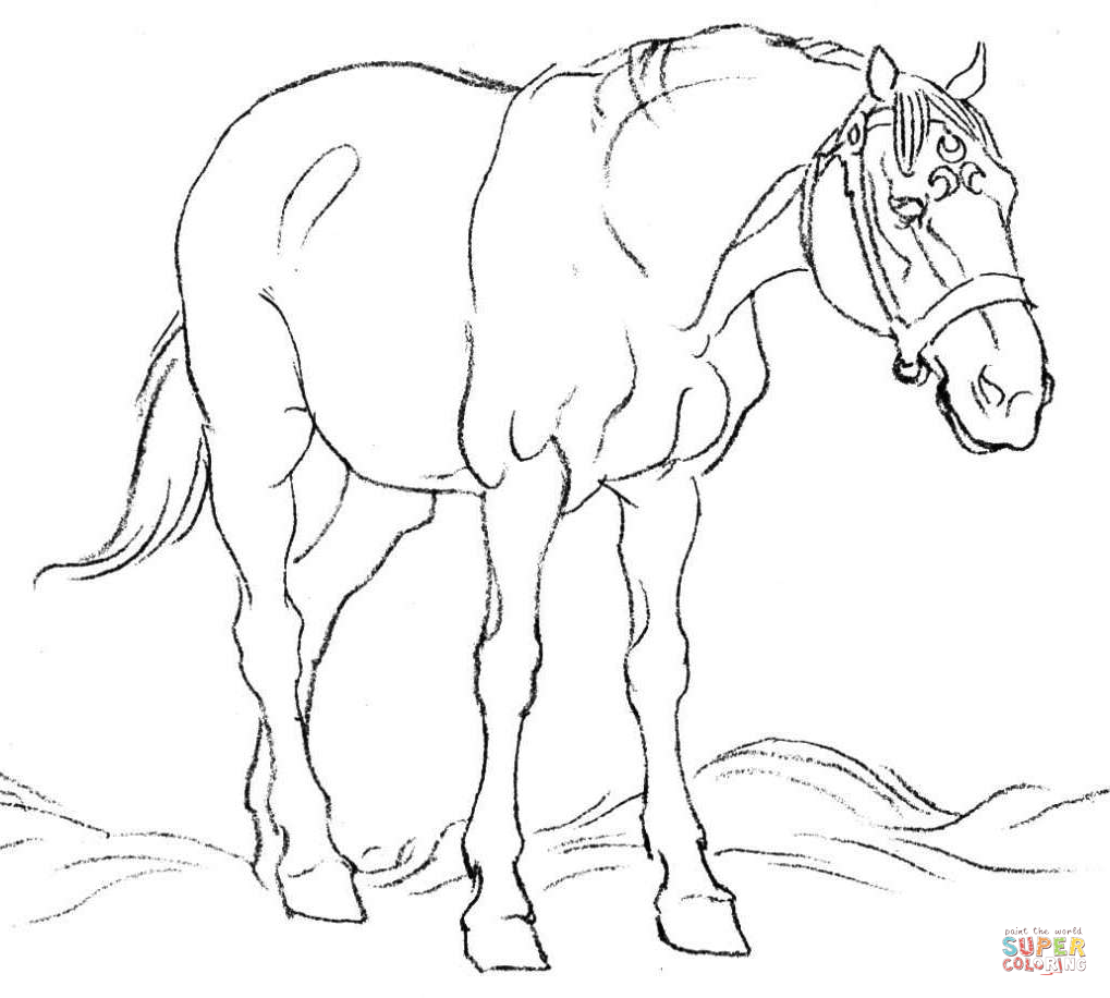Horse in field coloring page free printable coloring pages