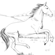 Horse tattoo coloring page free printable coloring pages