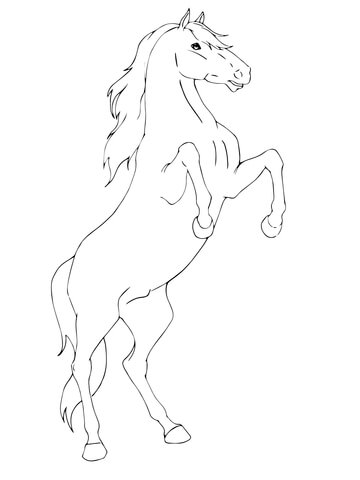 Rearing horse coloring page free printable coloring pages