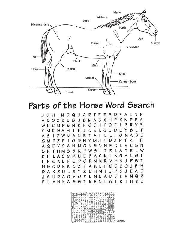 Parts of the horse word search