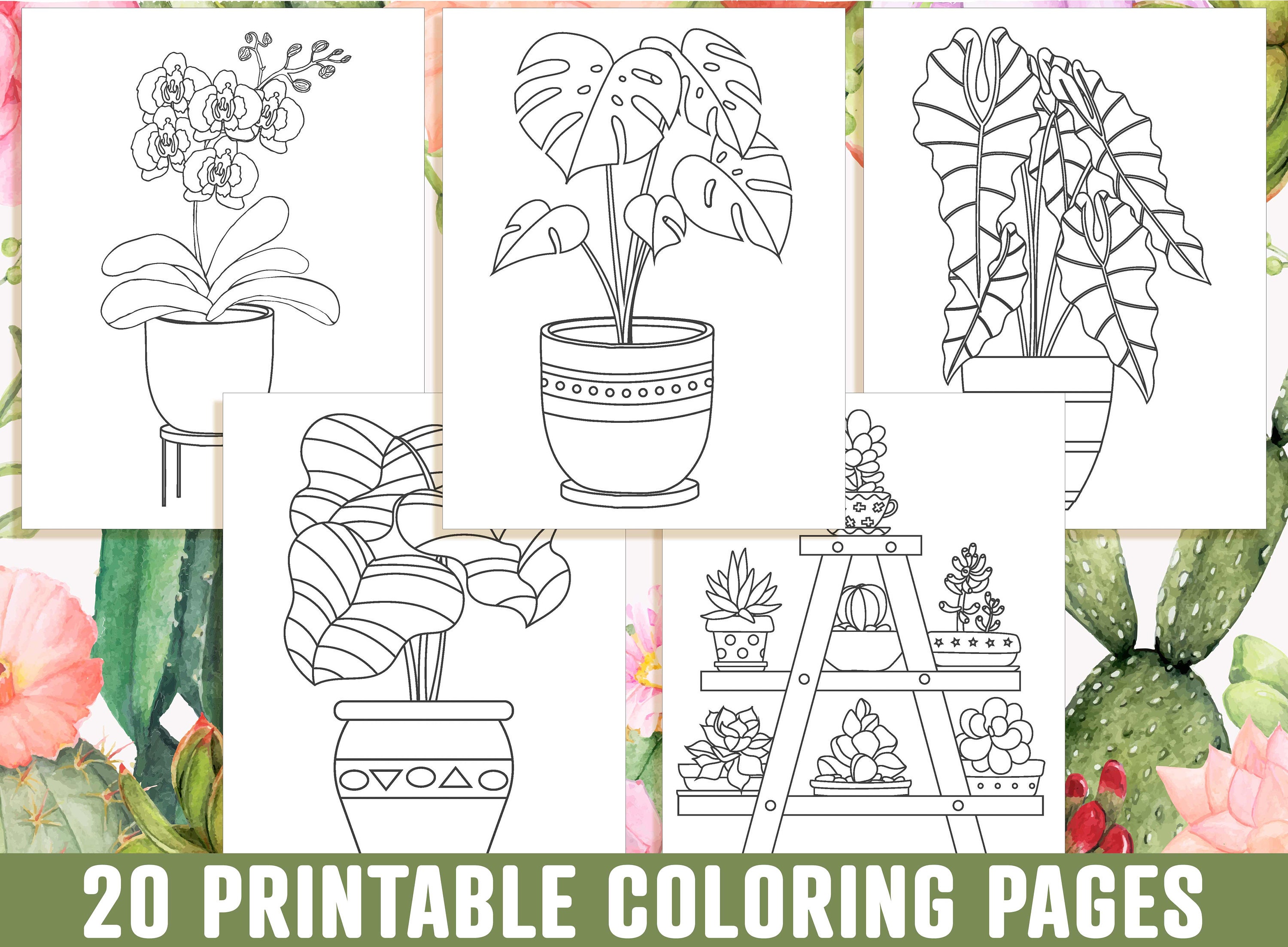 Houseplant coloring pages printable adorable succulent cactus houseplant coloring pages indoor plant coloring book instant download instant download
