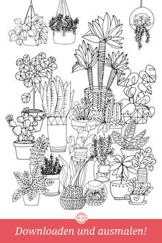 House plant coloring book ideas plant drawing doodle art plant doodle
