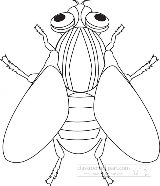 Animal outline clipart