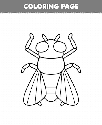 Premium vector education game for children coloring page of cute cartoon fly line art printable bug worksheet
