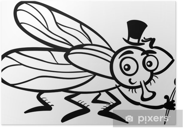 Poster housefly cartoon for coloring book