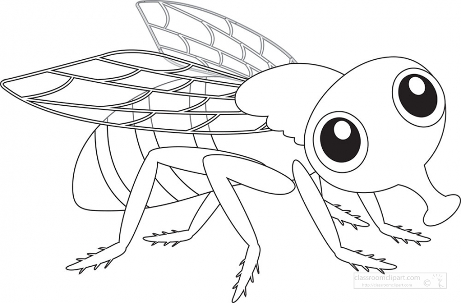 Insect clipart
