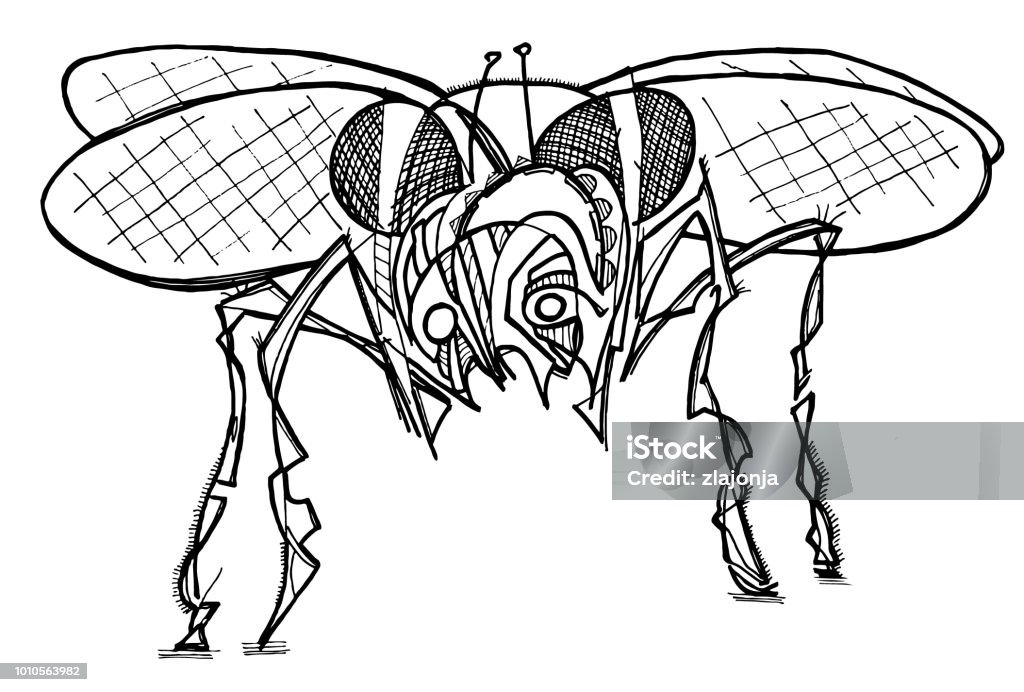 Illustration of fly coloring page stock illustration