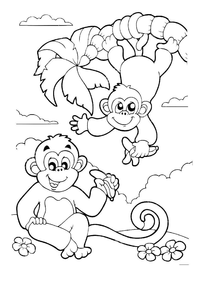 Online coloring pages banana coloring page monkeys eat bananas ape
