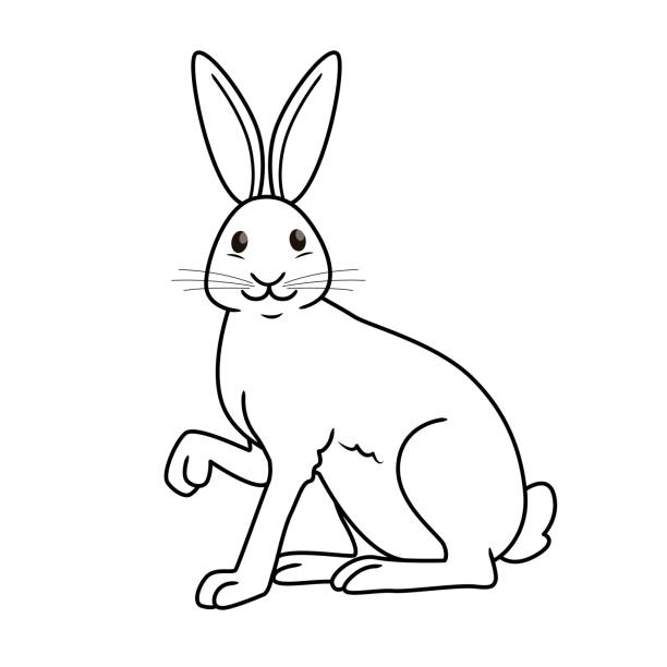 Vector illustration of hare isolated on white background for kids coloring book stock illustration