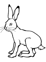 Hares
