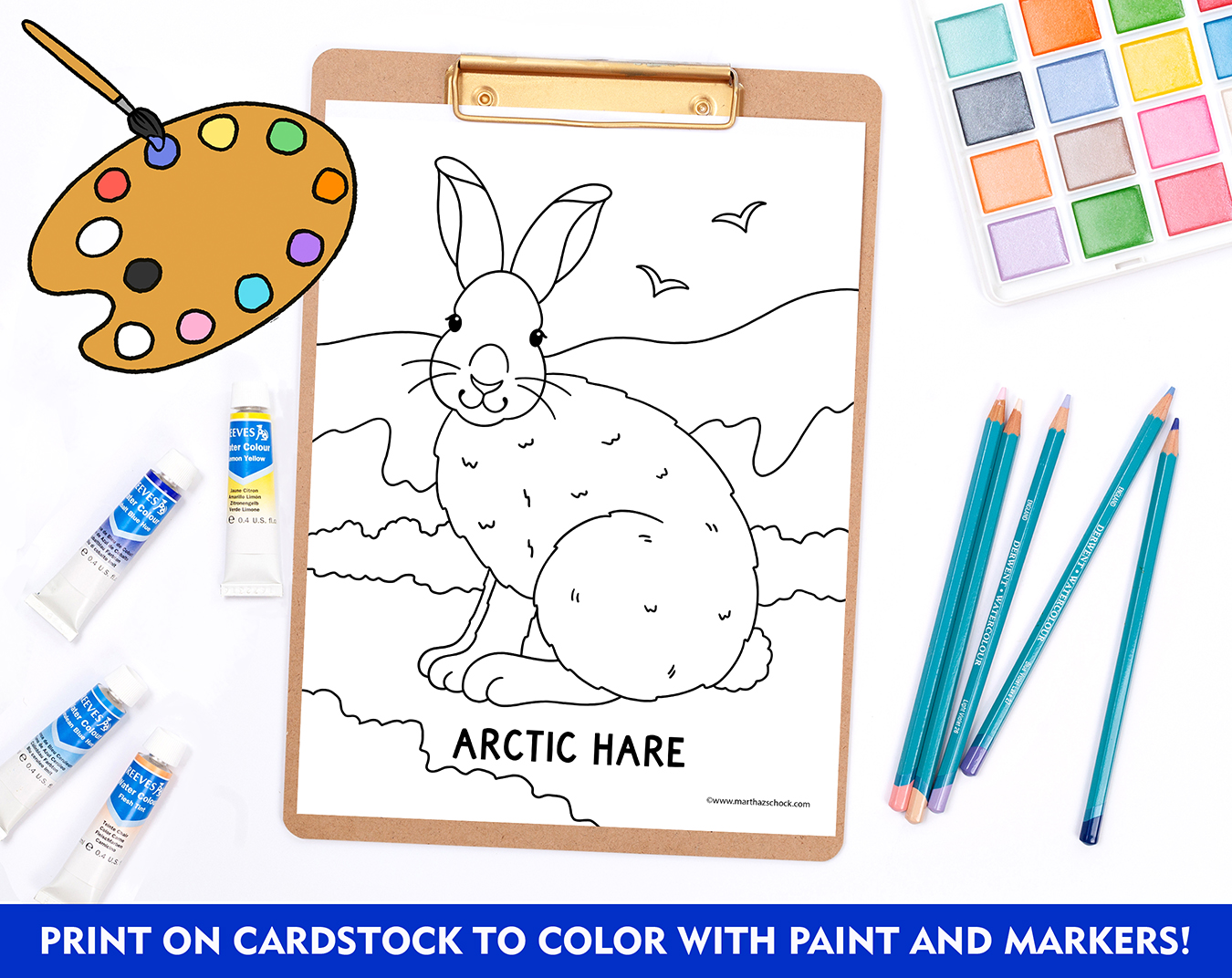 Arctic and polar animals coloring pages winter animals coloring sheets made by teachers