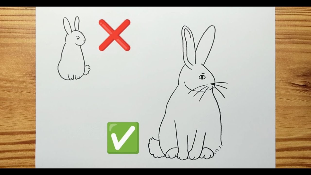 How to draw an arctic hare easy for kids