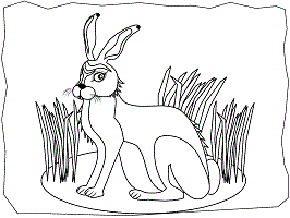 Hares