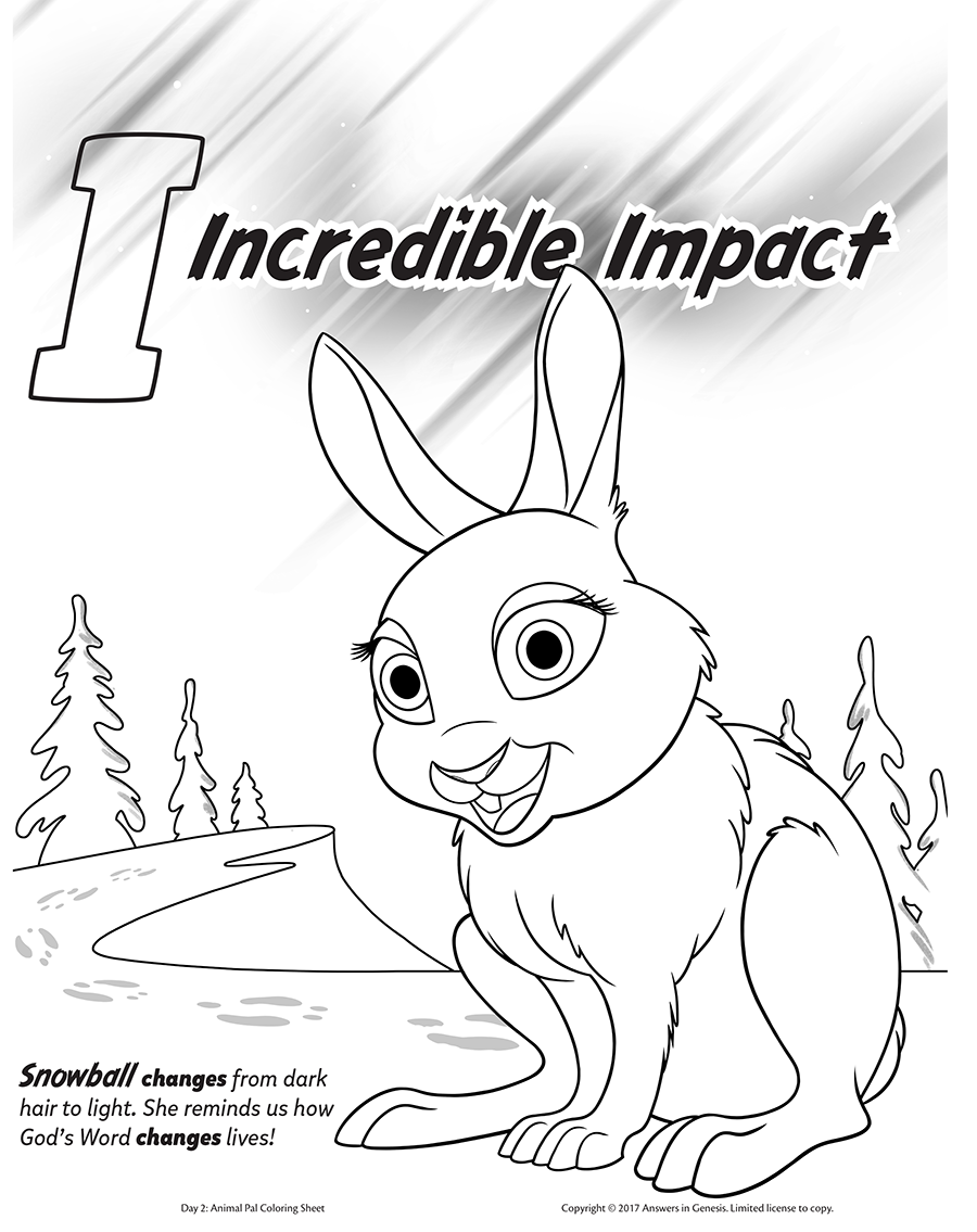 Snowball the arctic hare kids coloring activity kids answers