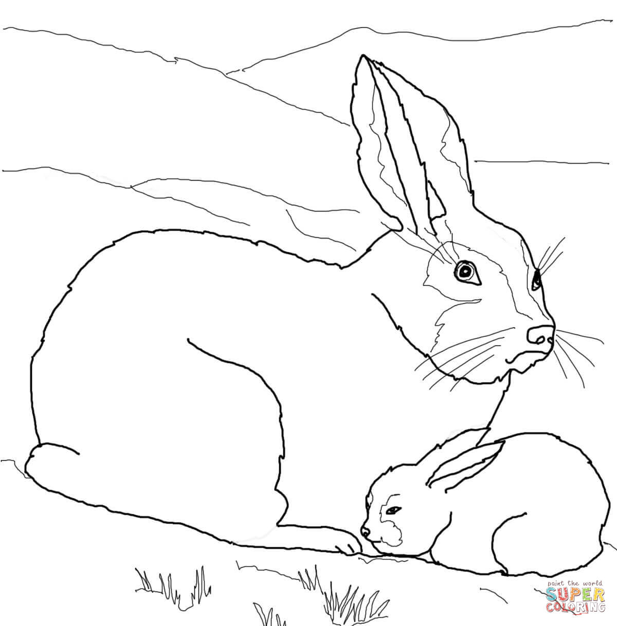 Arctic hare baby and mother coloring page free printable coloring pages