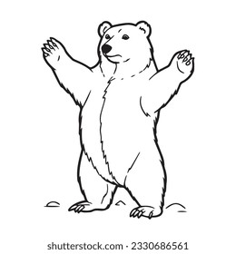 Bear standing sketch royalty