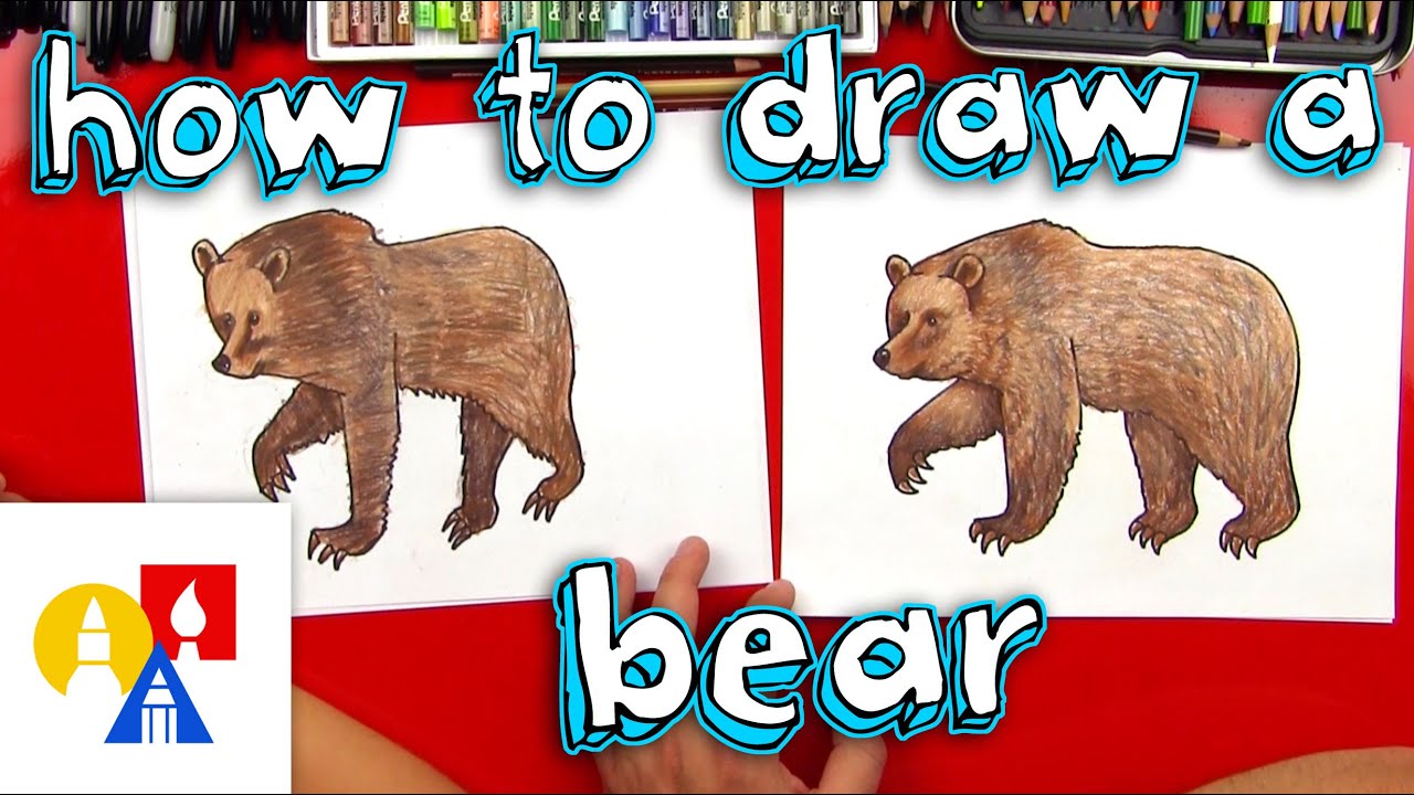 How to draw a grizzly bear realistic